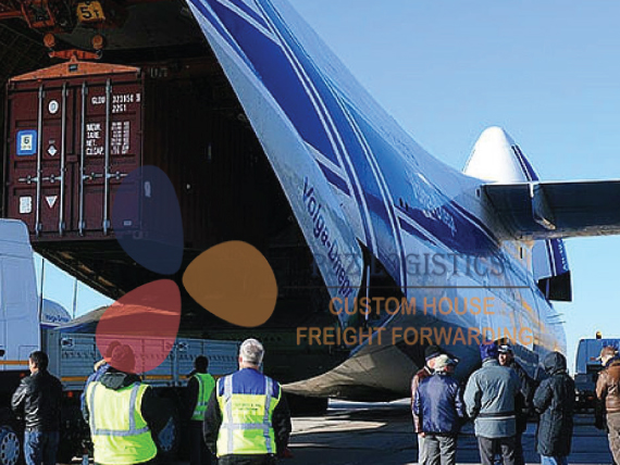 Transporter in Dubai